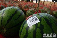 西瓜防偽標簽有哪些功能？